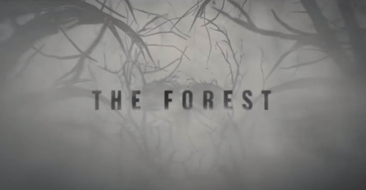 2016 The Forest Movie